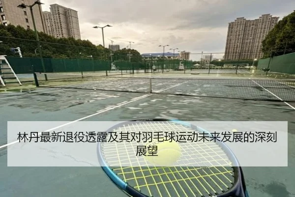 林丹最新退役透露及其对羽毛球运动未来发展的深刻展望